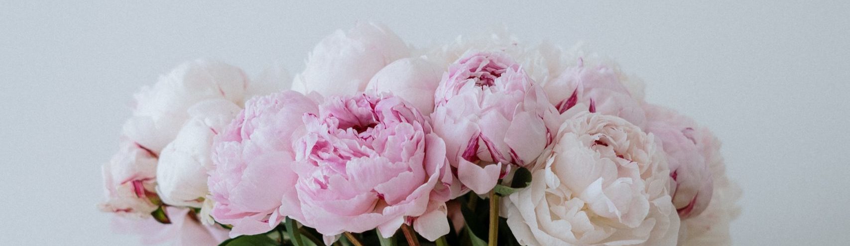 UR NEST Bologna | Flowers additional service
